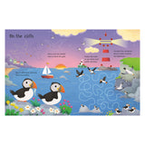 Wipe-Clean Seashore Activities