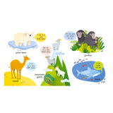 First Animals Book