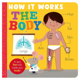 The Body