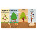 All the Things a Tree Can Be