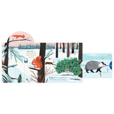 Snow