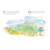 The Peter Rabbit Stories