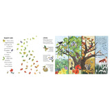 Seasons