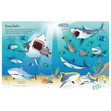 First Sticker Book - Sharks and Rays
