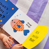 What's That Noise? Miaow!