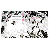Enchanted Forest