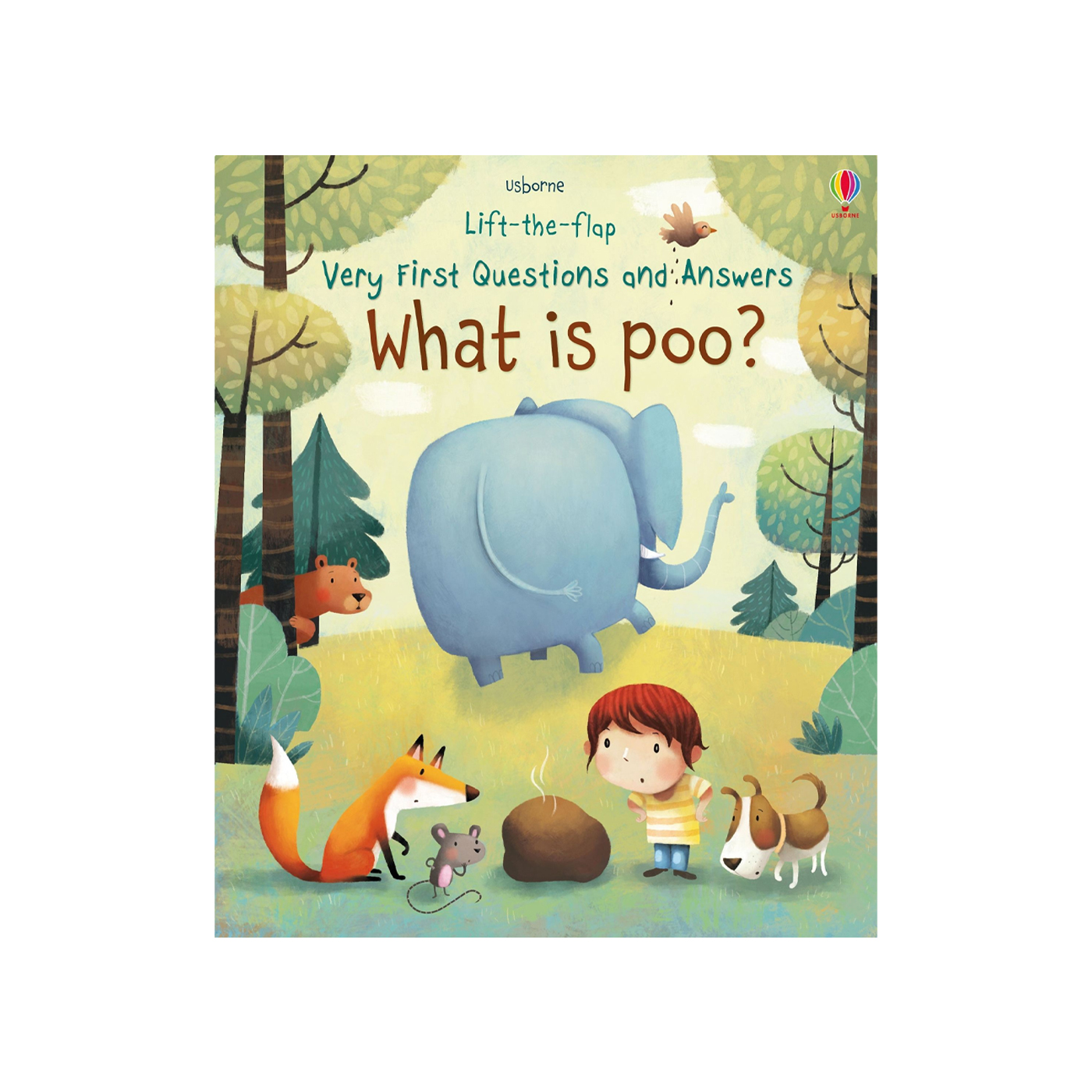 USBORNE What Is Poo?