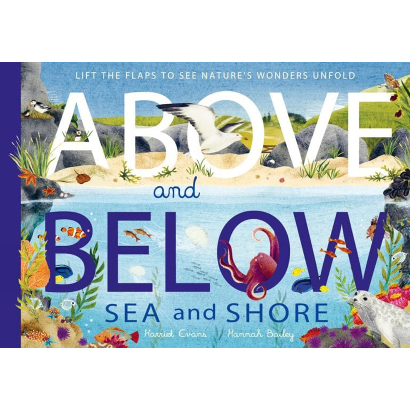  Above And Bellow: Sea And Shore