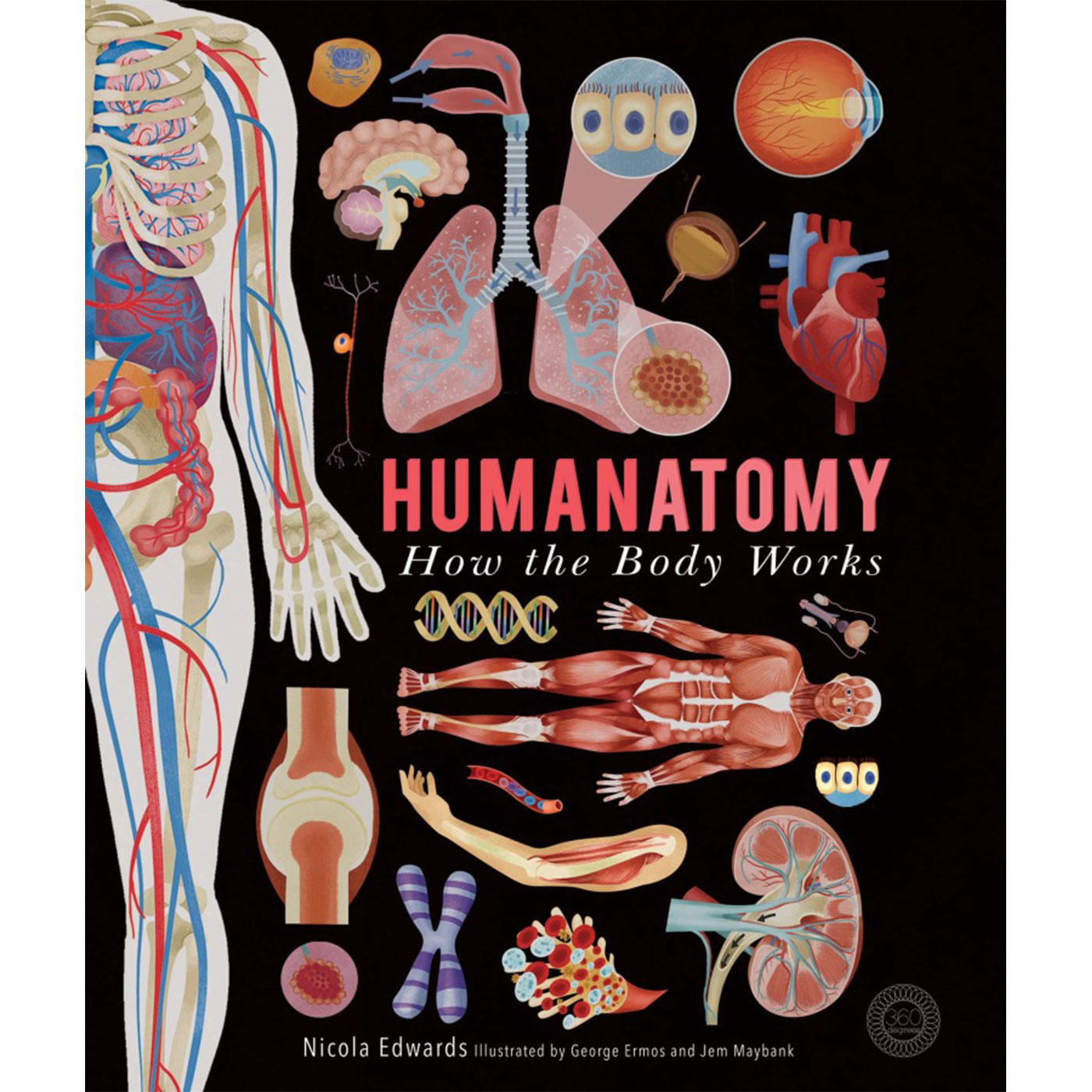  Humanatomy