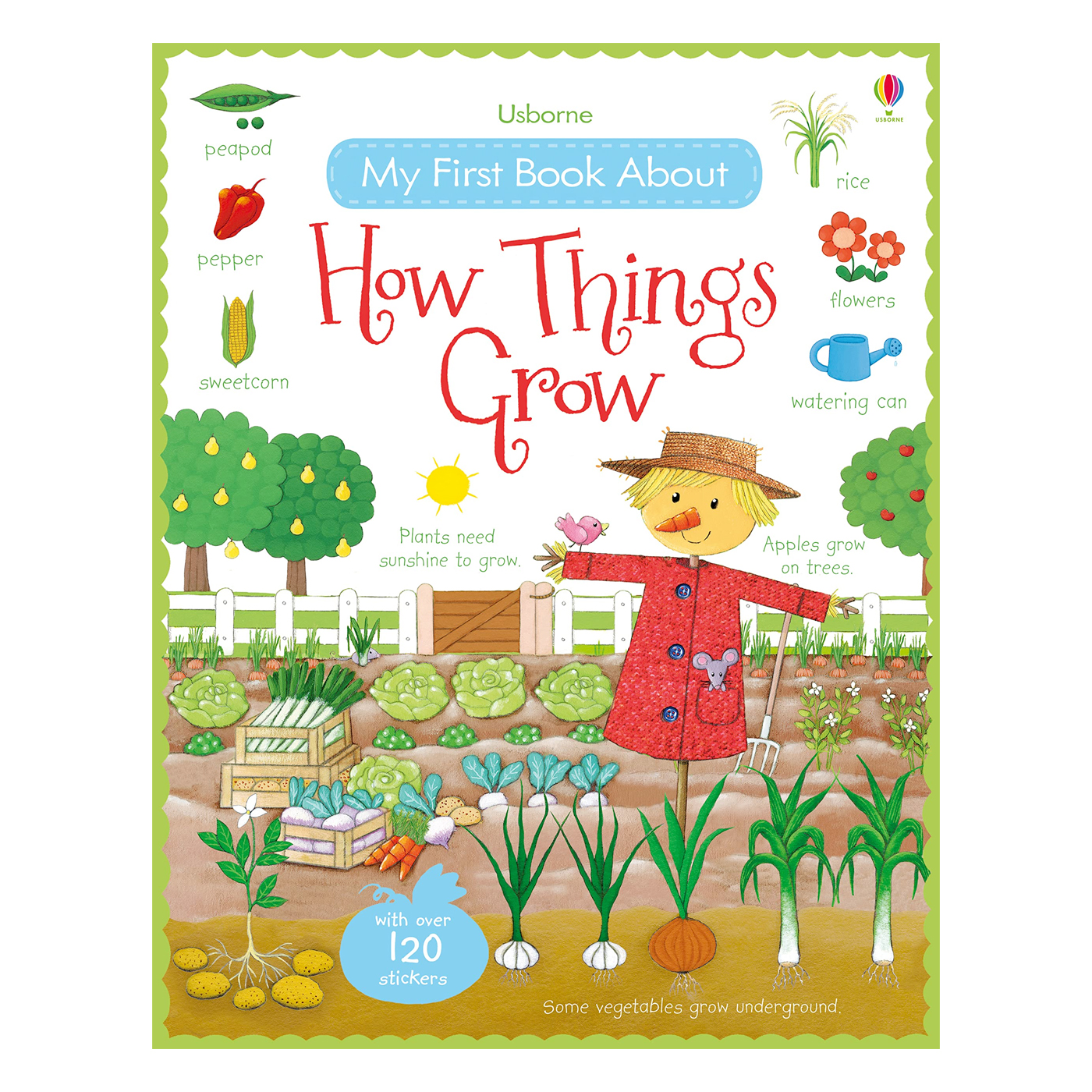 USBORNE My First Book About How Things Grow