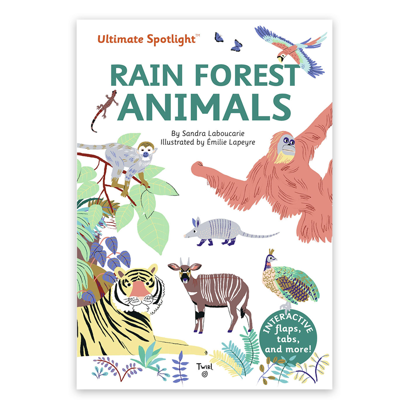 CHRONICLE BOOKS Ultimate Spotlight: Rain Forest Animals