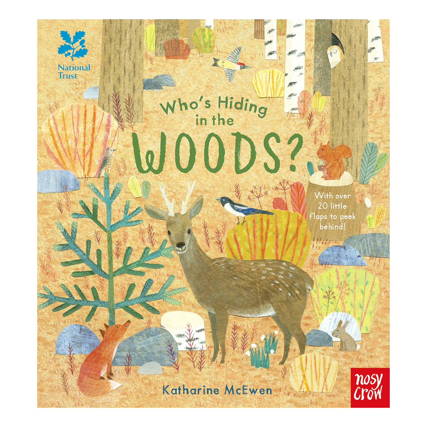 NOSY CROW National Trust: Who's Hiding in the Woods?