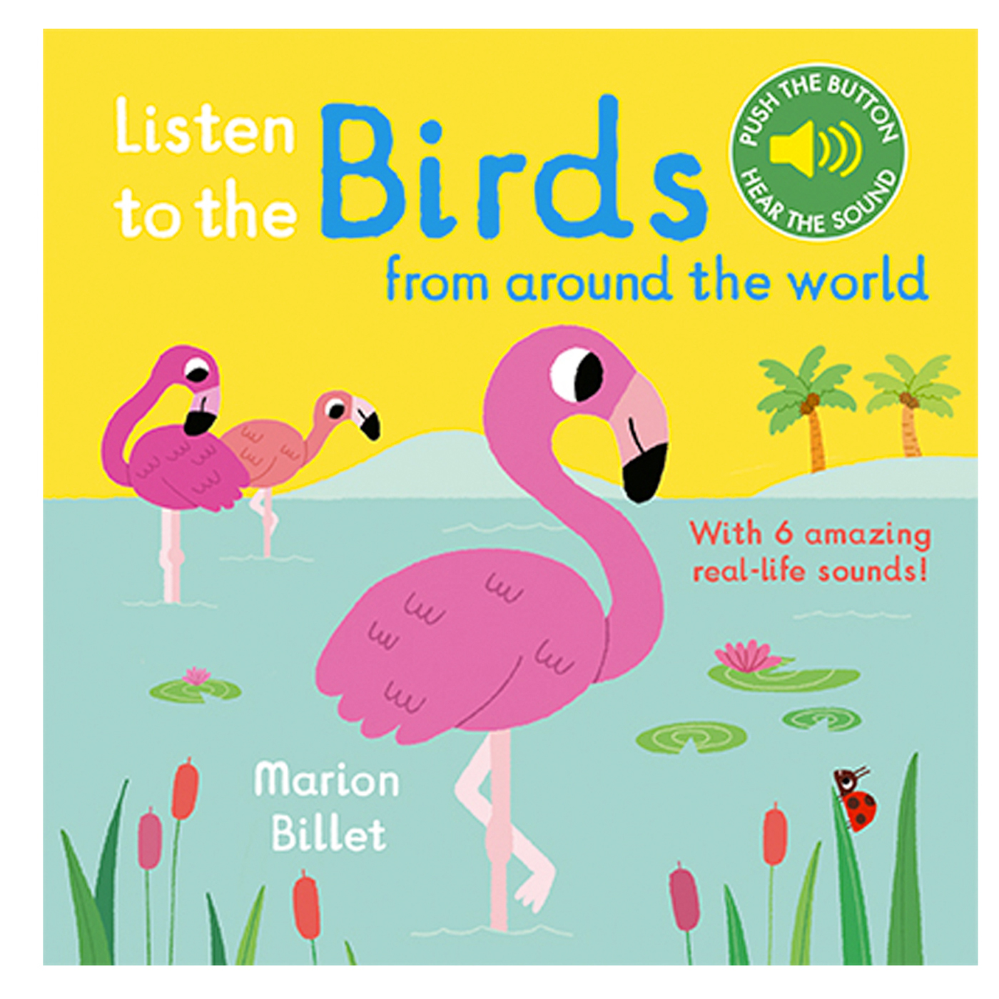 NOSY CROW Listen to the: Birds from around the world