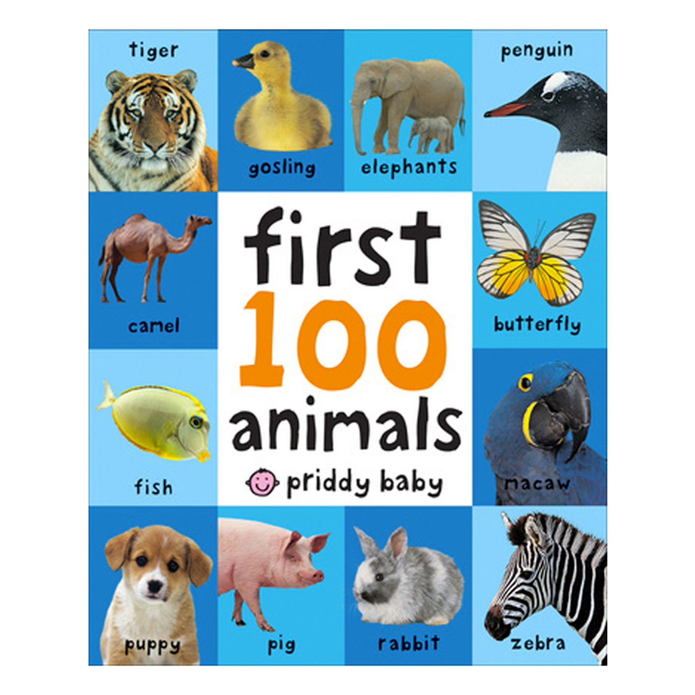  First 100 Animals (Küçük Boy)