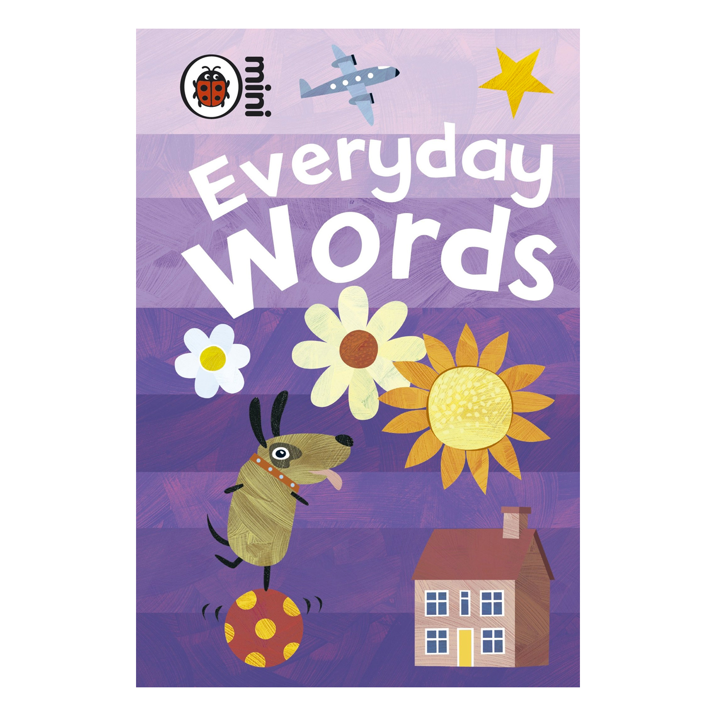 LADYBIRD Early Learning: Everyday Words