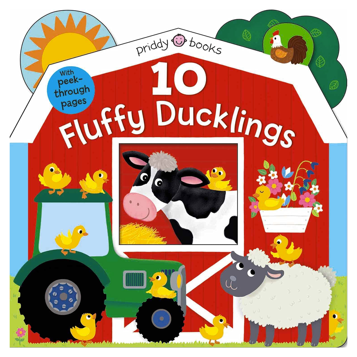  10 Fluffy Ducklings