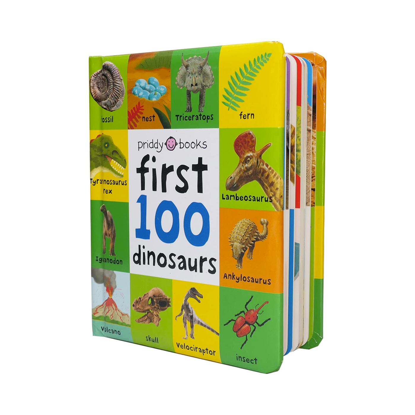 PRIDDY BOOKS First 100 Dinosaurs