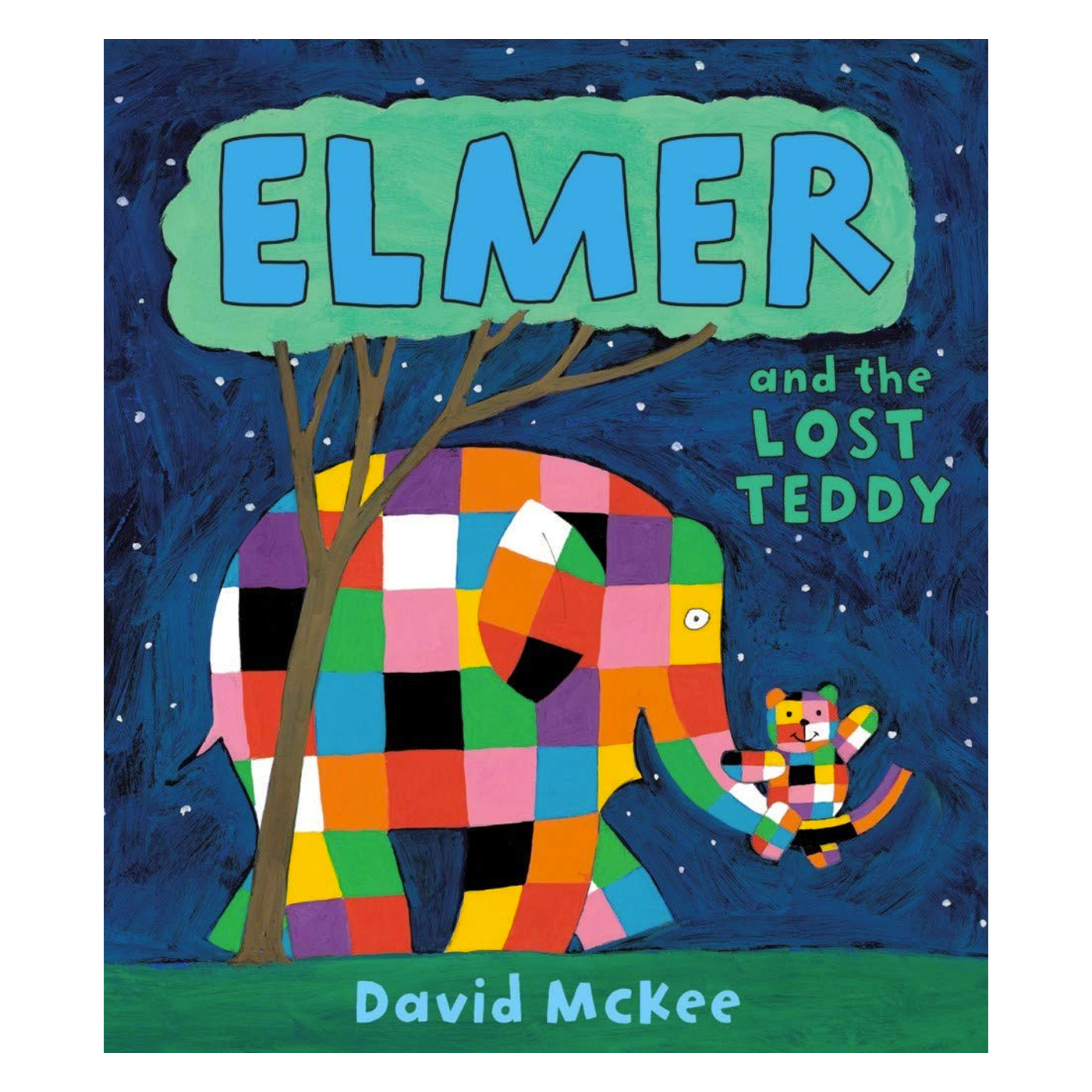  Elmer and the Lost Teddy : Board Book