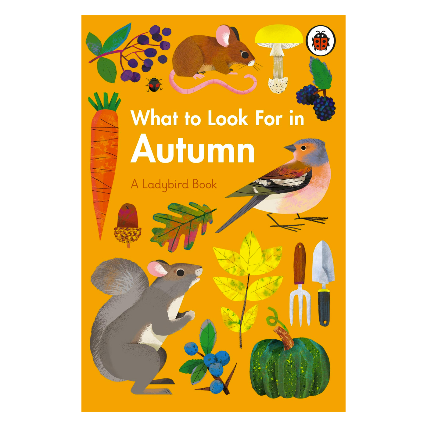  What to Look For in Autumn