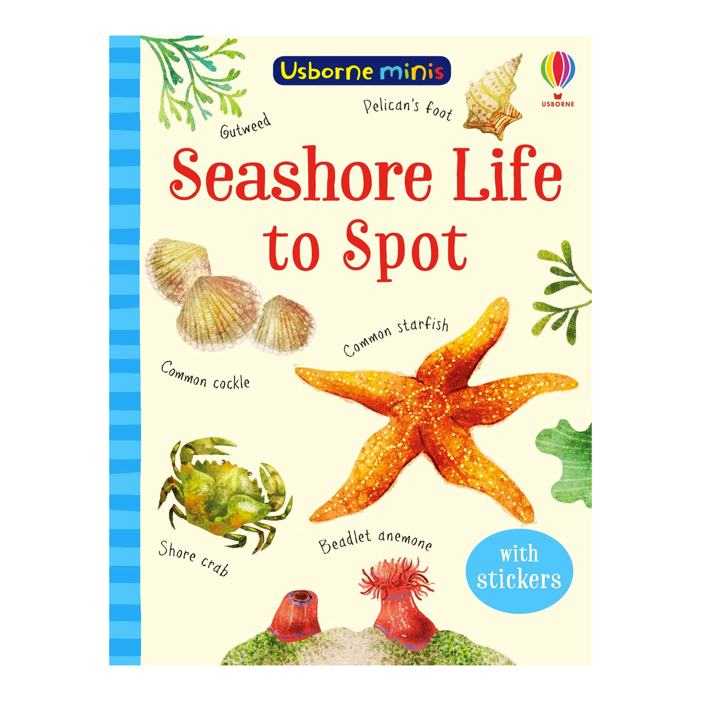  Minis Seashore Life To Spot