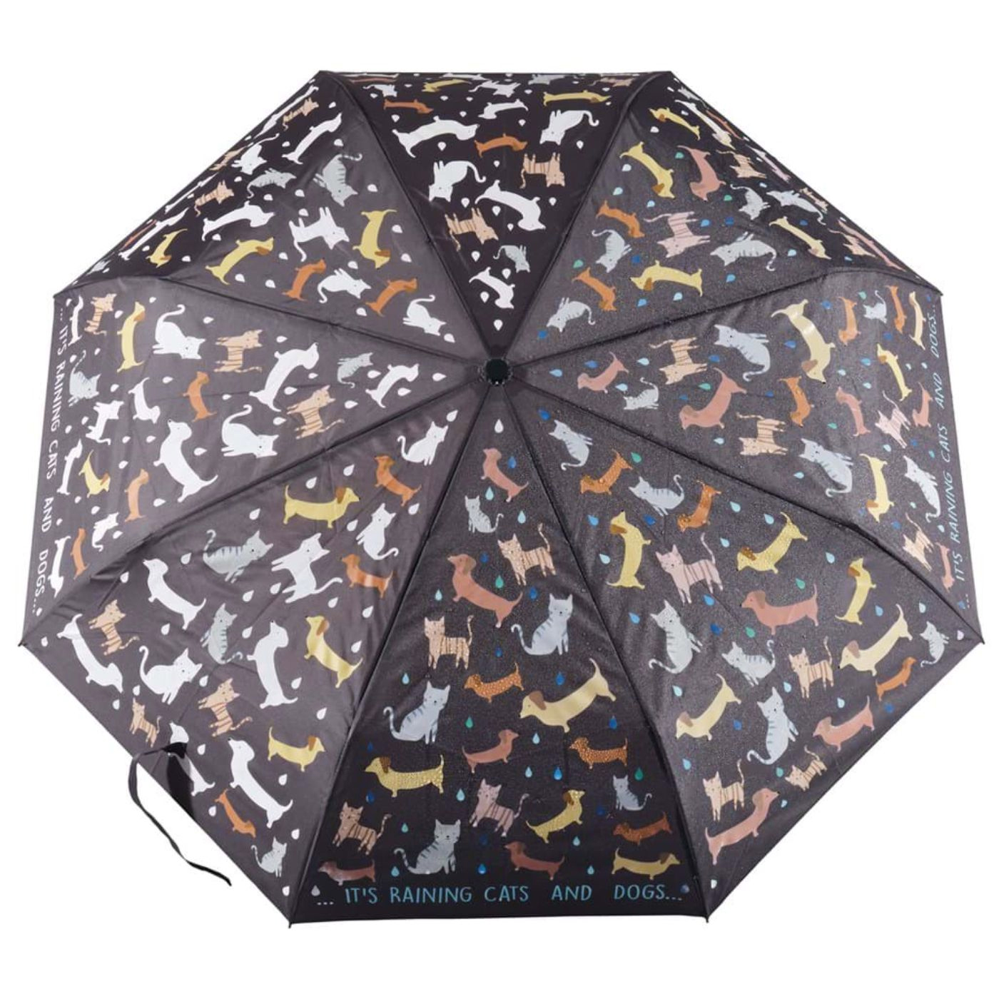 FLOSS & ROCK Floss & Rock Renk Değiştiren Şemsiye  | Raining Cats & Dogs