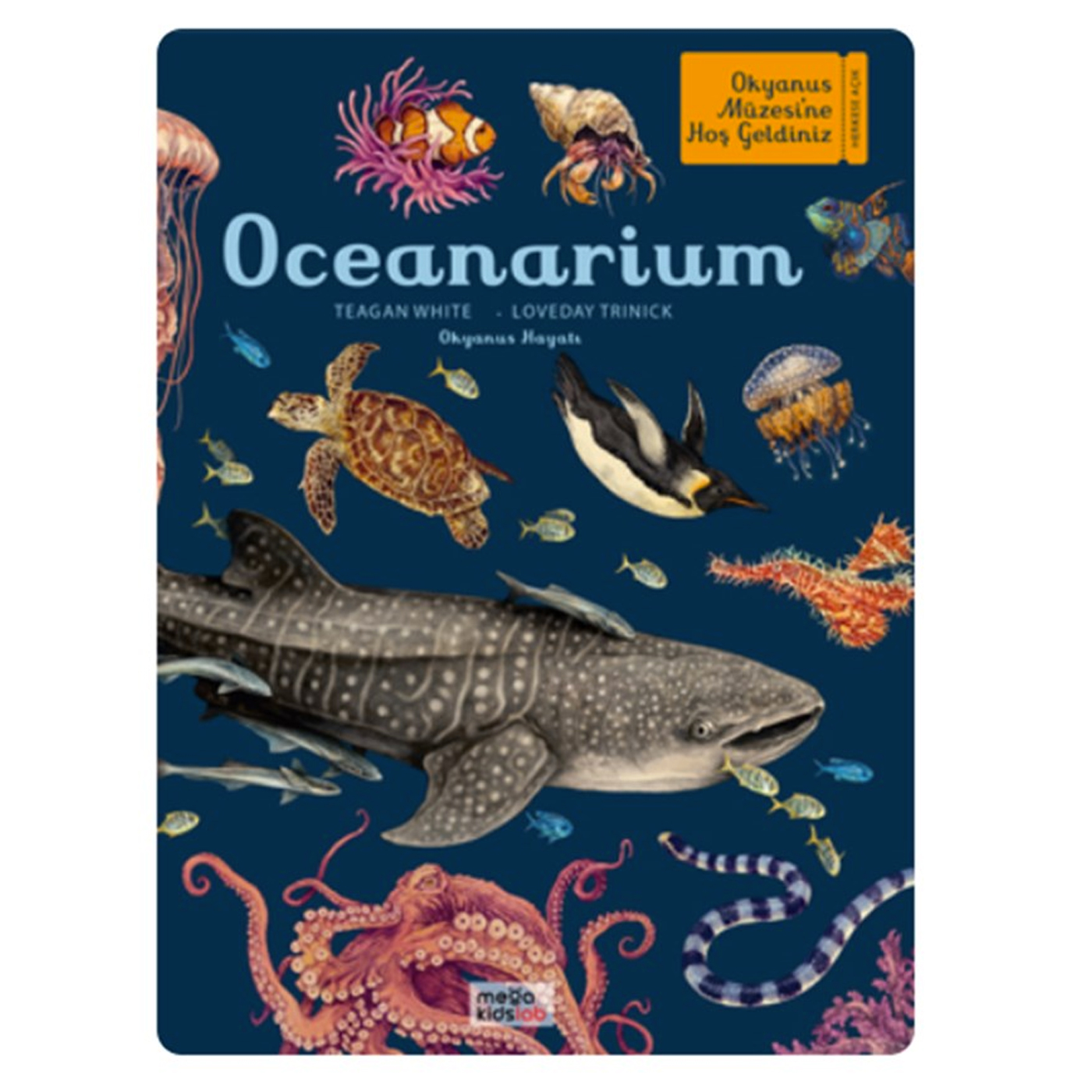  Oceanarium