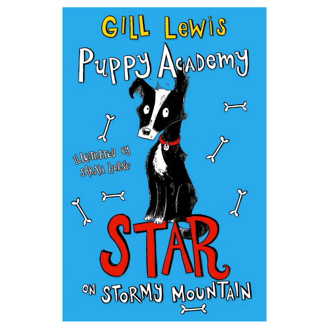  Puppy Academy: Star On Stormy Mountain