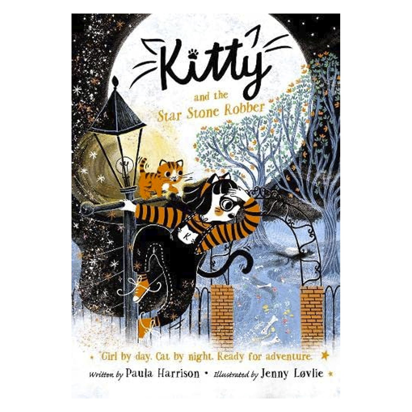  Kitty And The Star Stone Robber