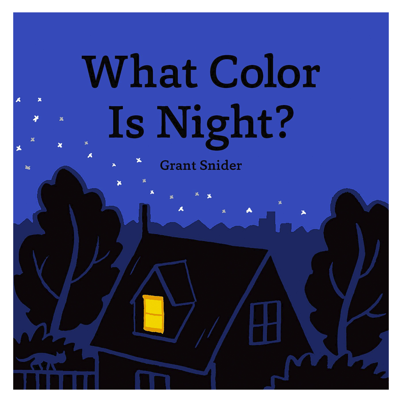 CHRONICLE BOOKS What Color Is Night?