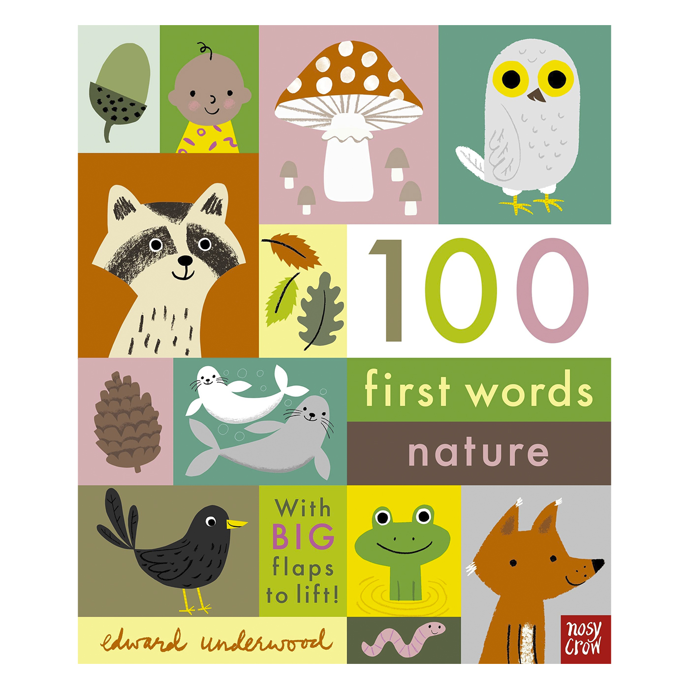 NOSY CROW 100 First Words Nature