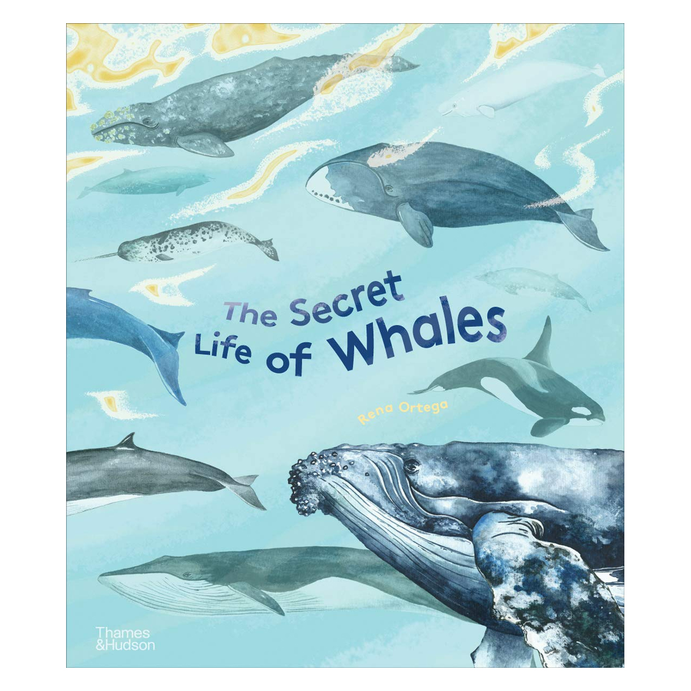 THAMES & HUDSON The Secret Life of Whales