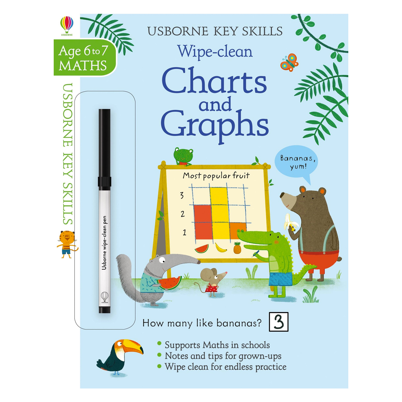  Key Skills Wipe Clean Charts and Graphs