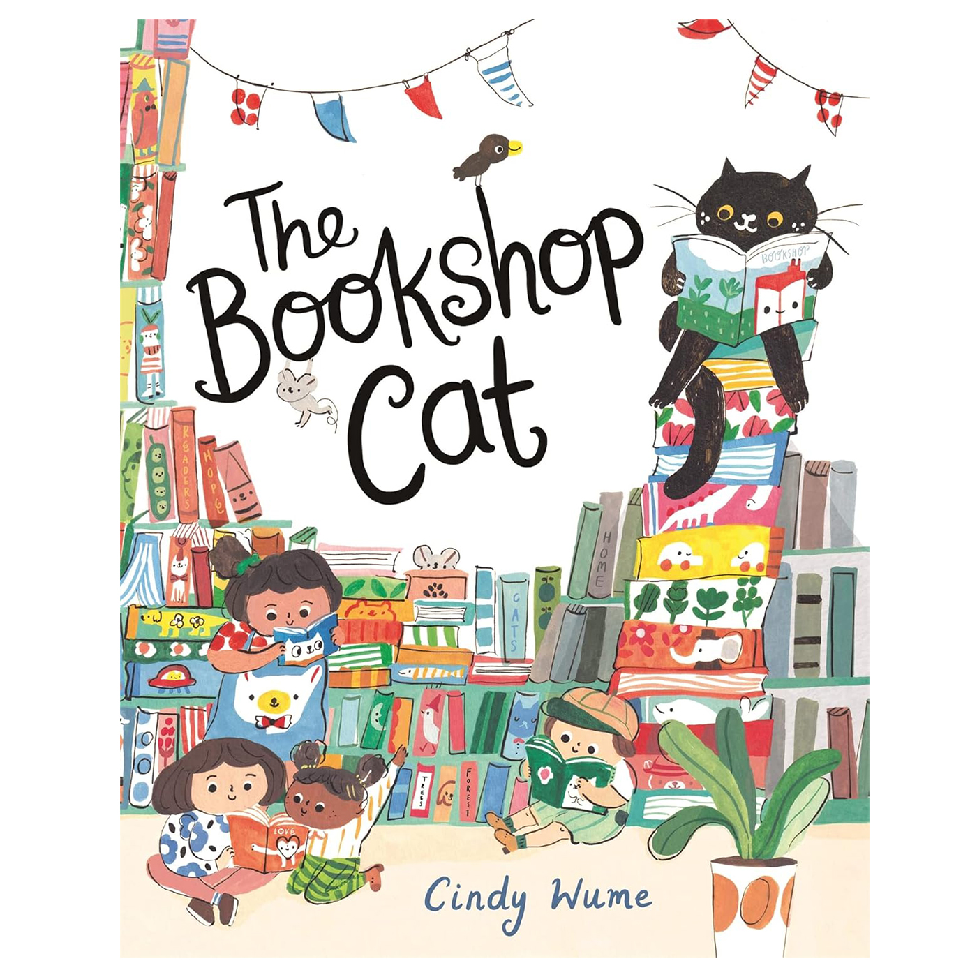  The Bookshop Cat