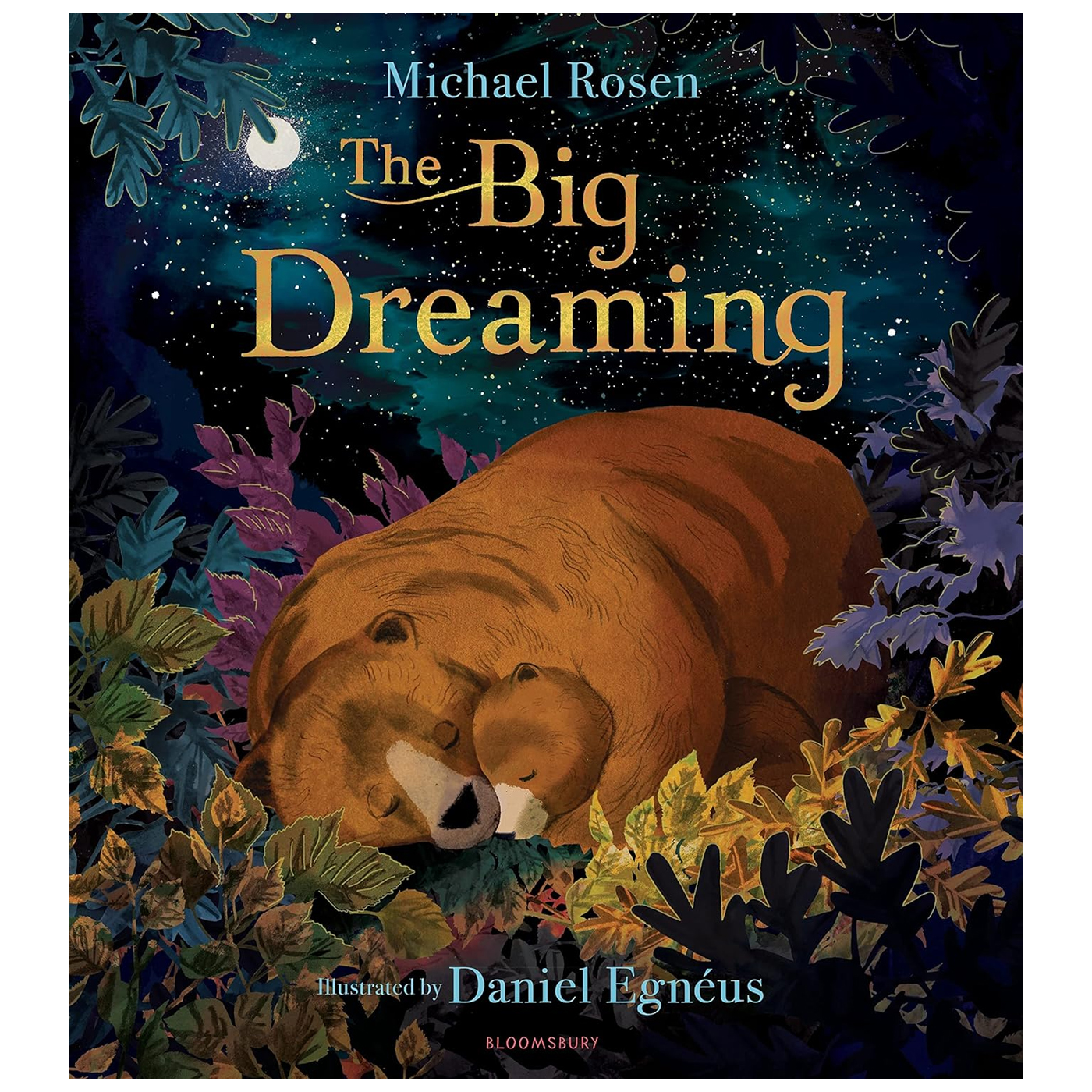  The Big Dreaming